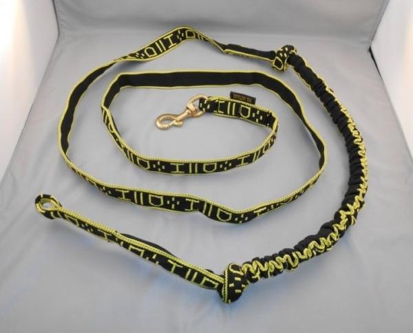 Skijöring Leine Pro